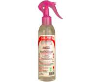 АХД 2000 экспресс 250 мл Lysoform